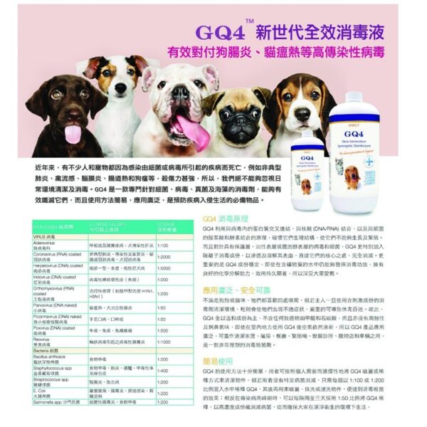 GQ4 新世代全面防菌超濃縮液 - Image 5