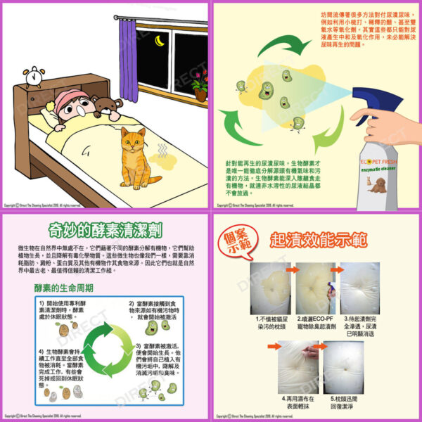 ECO Pet Fresh V2 寵物除臭起漬劑加强版 - Image 9