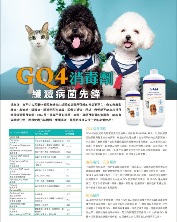 GQ4 新世代全面防菌超濃縮液 - Image 4